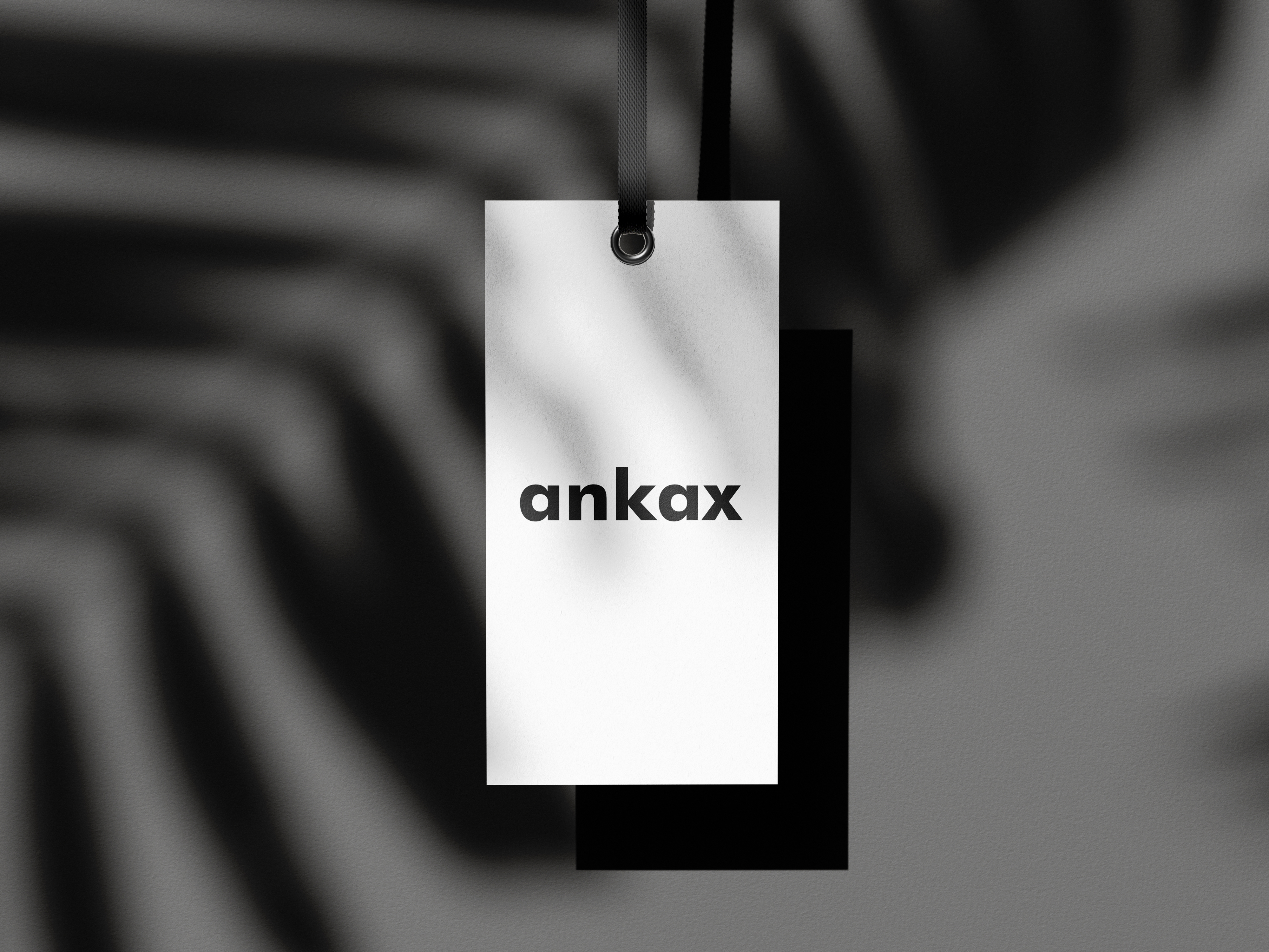 ankax Campaign 6